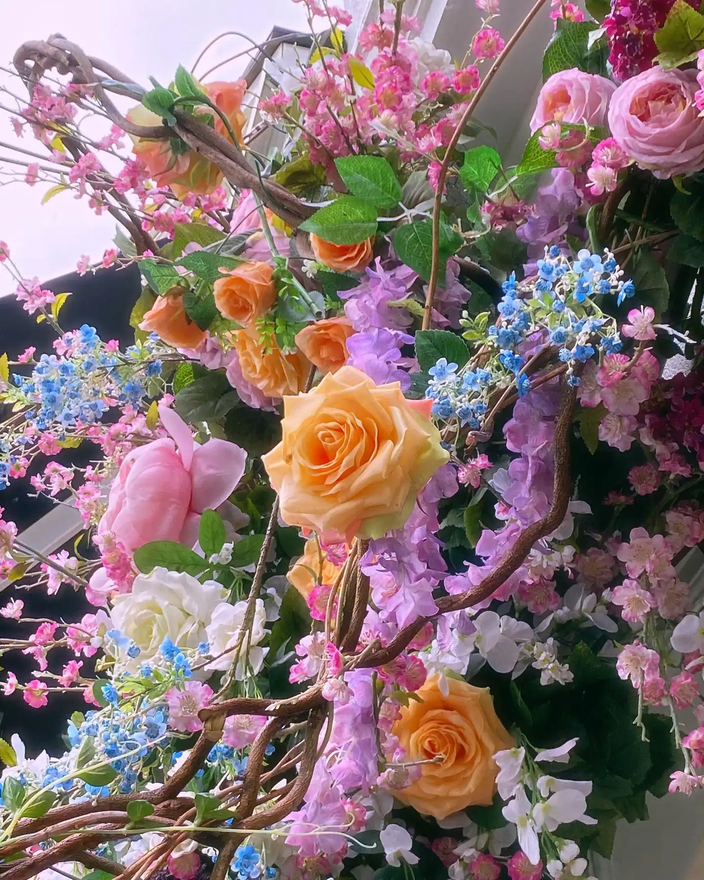 Instagram - 7.webp